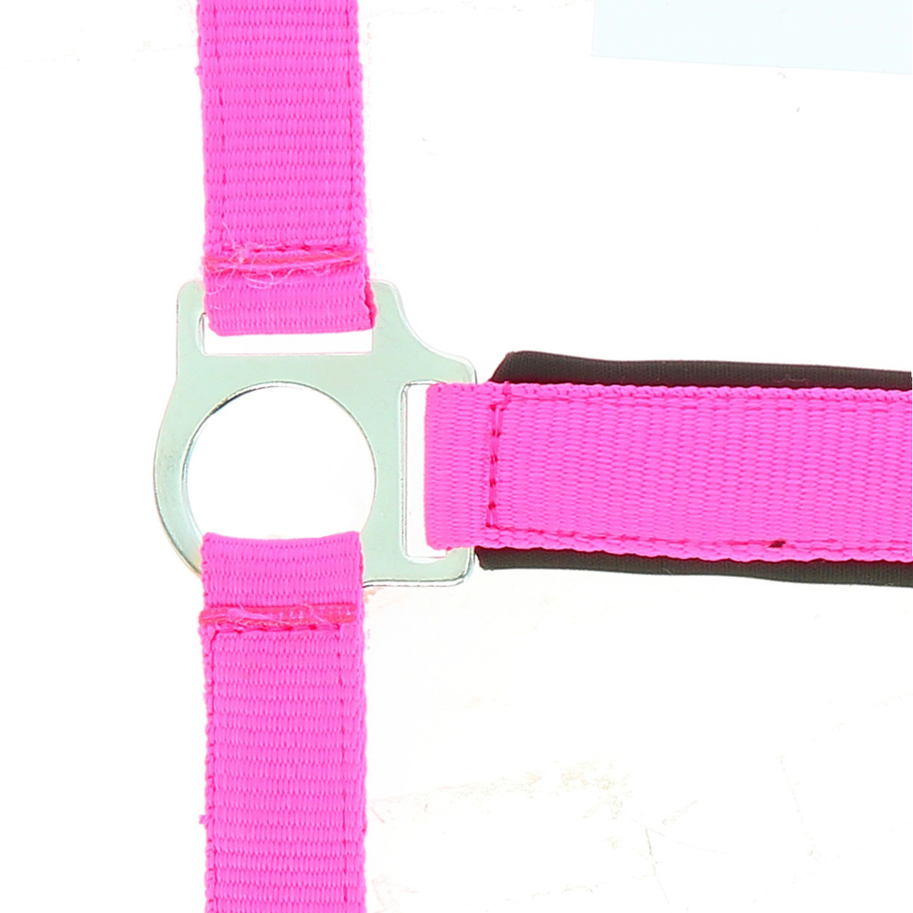NORTON "Fluo" zweilagiges Halfter