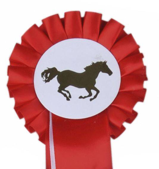 Turnierschleife "Einfachrosette"