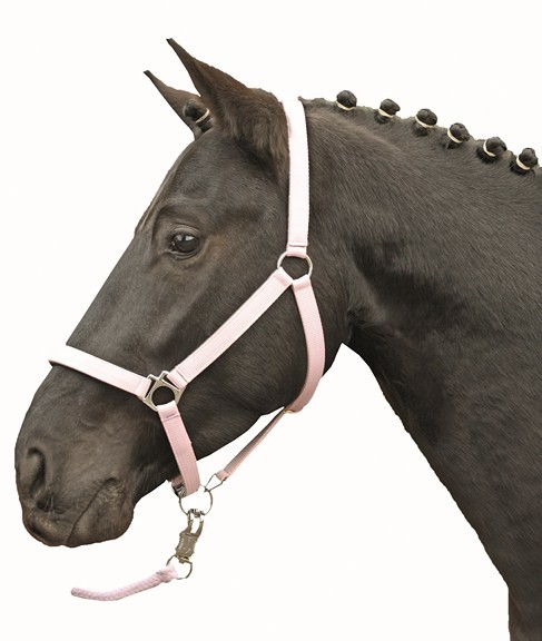 HKM Halfter "Stars Softice"
