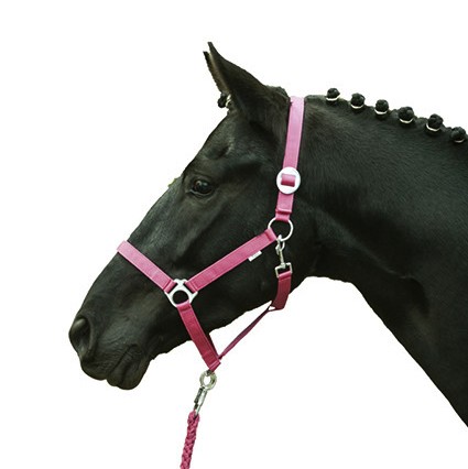 HKM Halfter "Stars Economy Softice"