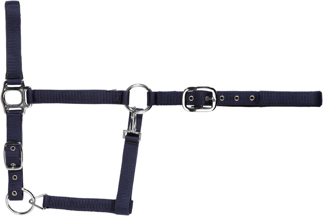 USG Halfter blau