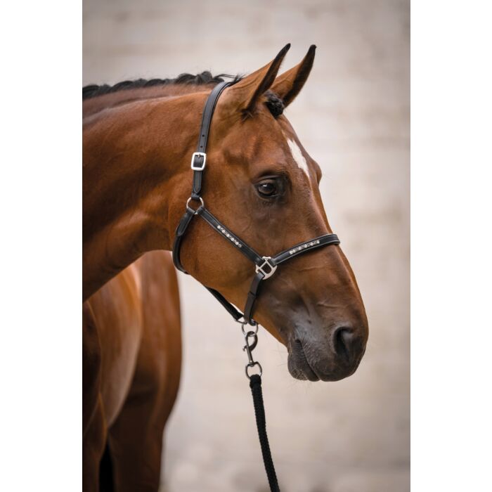 HKM Lederhalfter "Sparkle"