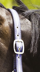 NORTON Dreifarbiges weiches Halfter