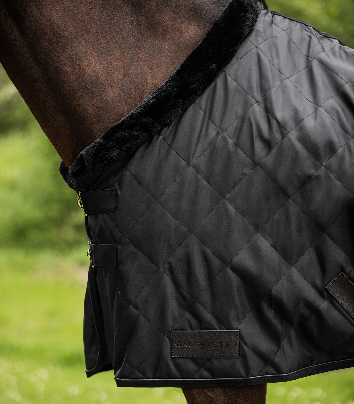 Waldhausen Transportdecke "Exclusive" 50g