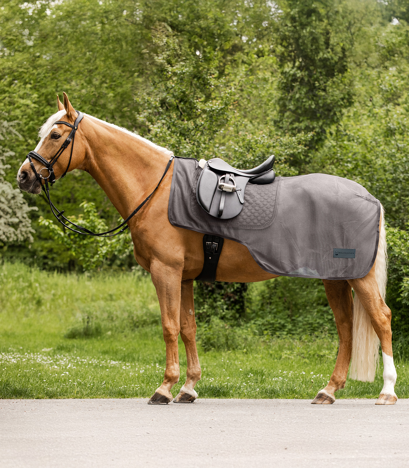 Fliegen-Ausreitdecke "Comfort"