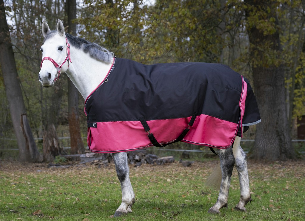 EQUITHÈME "TYREX 1200D" Decke, 300g Füllung, Pferdedecke, schwarz/himbeere, Weidedecke
