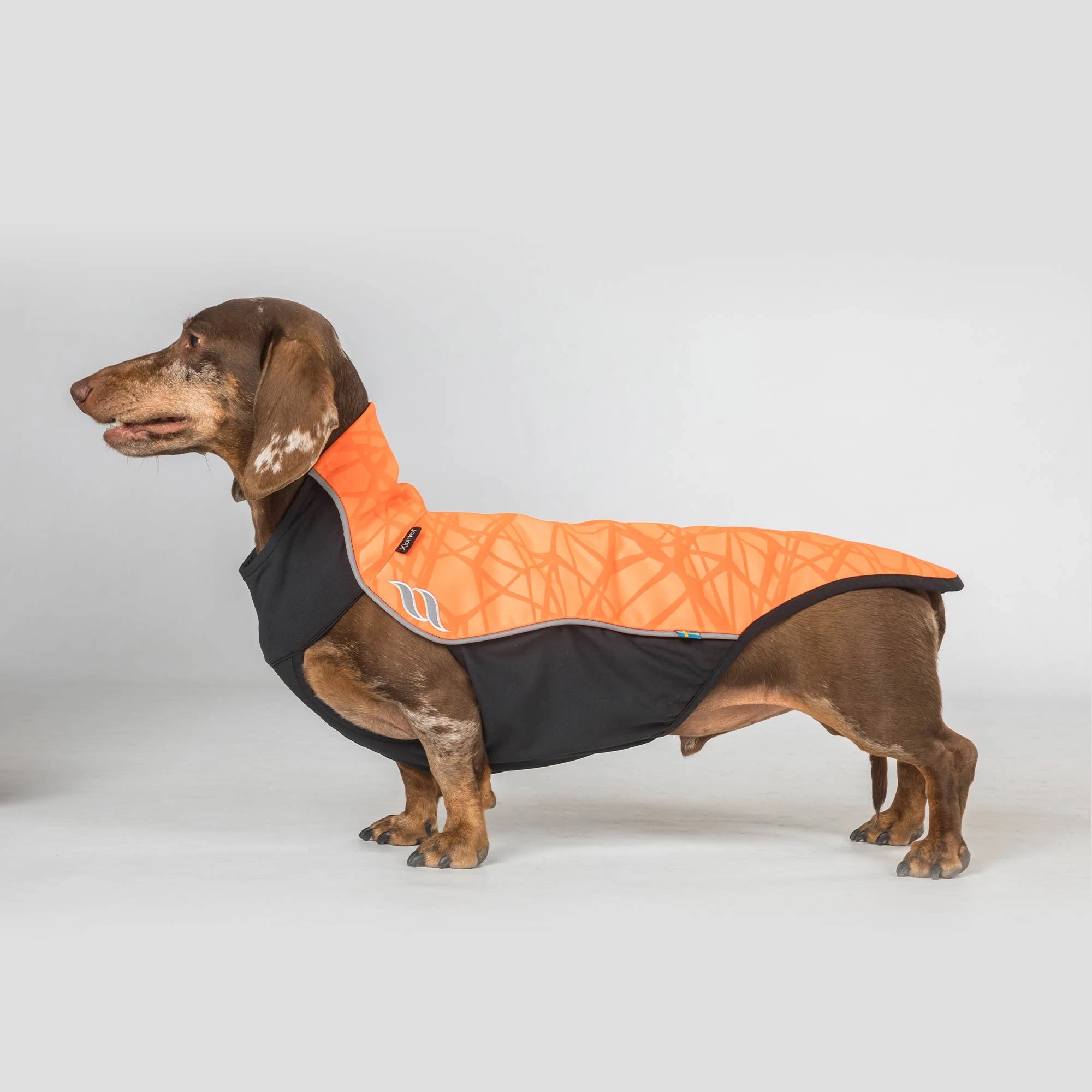 Back on Track Hundepullover Eddie Petite, reflektierend