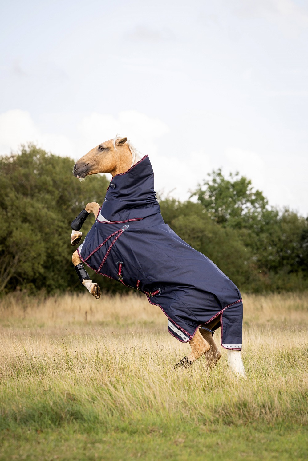 LeMieux Kudos Turnout Rug, Weidedecke, Pferdedecke, 50g Füllung, Navy