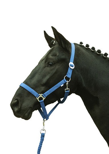 HKM Halfter "Stars Economy Softice"