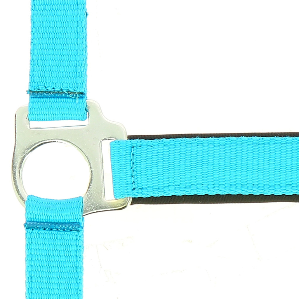 NORTON "Fluo" zweilagiges Halfter