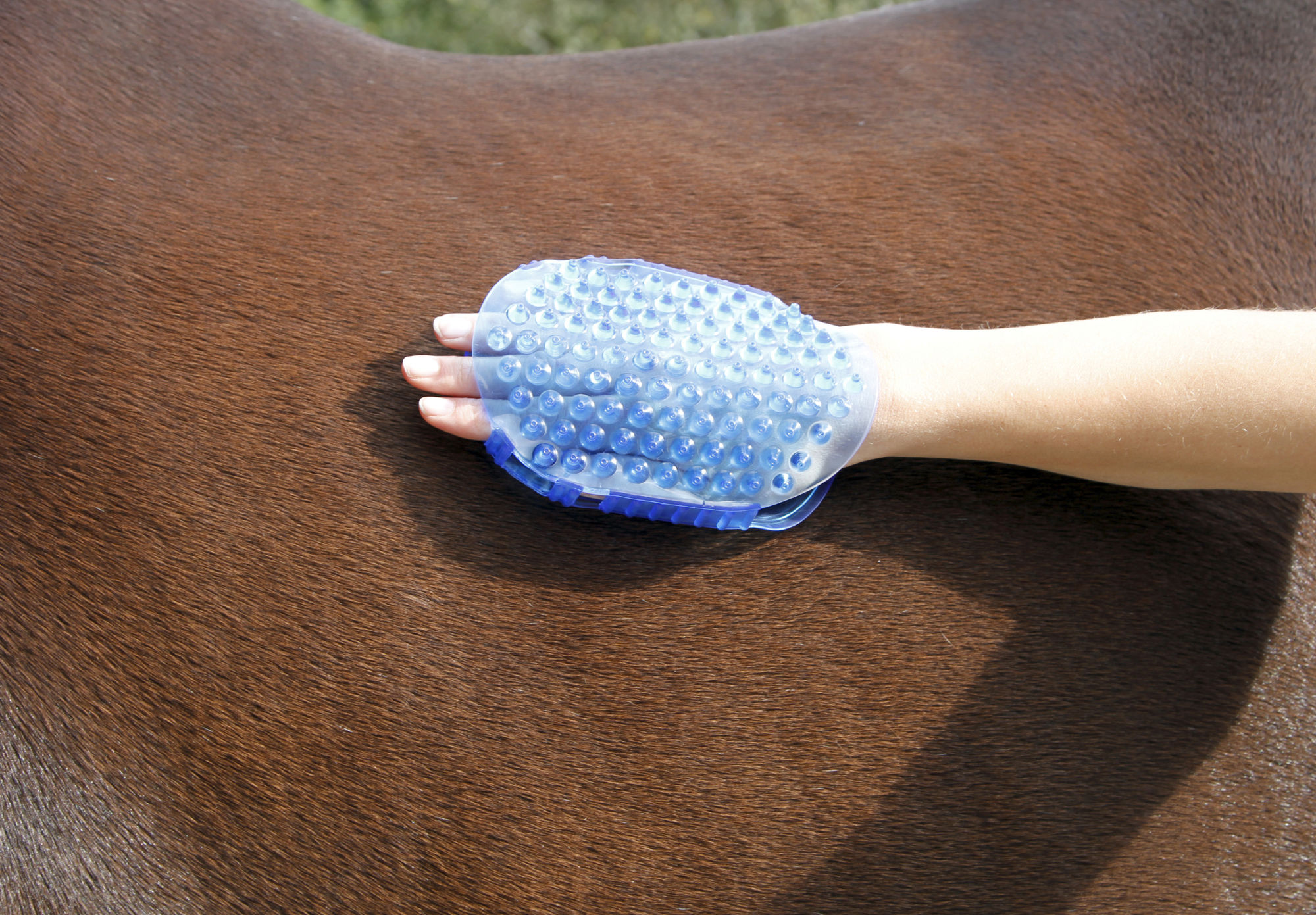 Covalliero Magnet-Massagestriegel