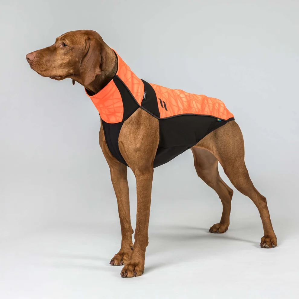 Back on Track BARK Reflektierender Hundepullover