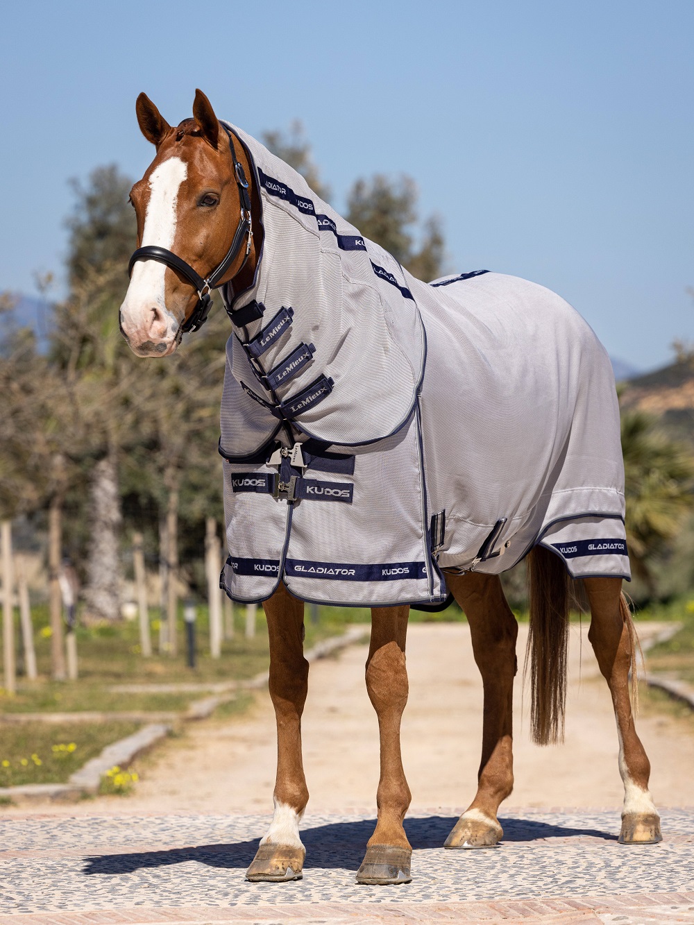 LeMieux Kudos Gladiator Fliegendecke, Fly Rug, Fliegenschutz