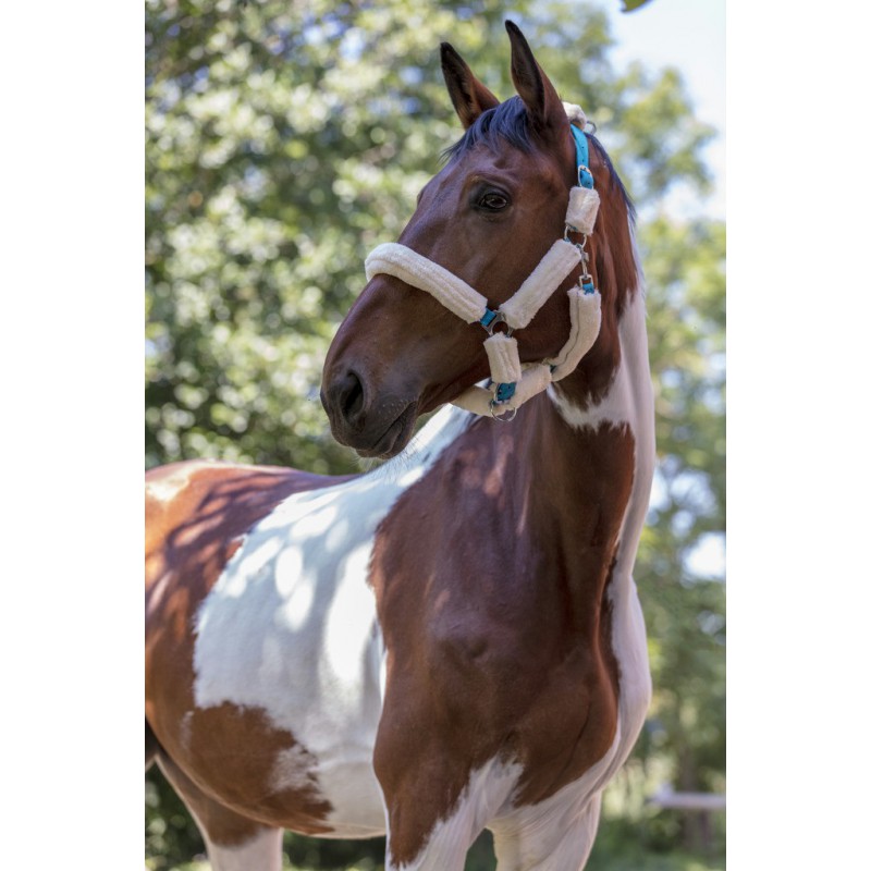 NORTON "Full mouton synthétique" Halfter, Shetty und Pony