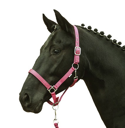 HKM Halfter "Stars Softice"