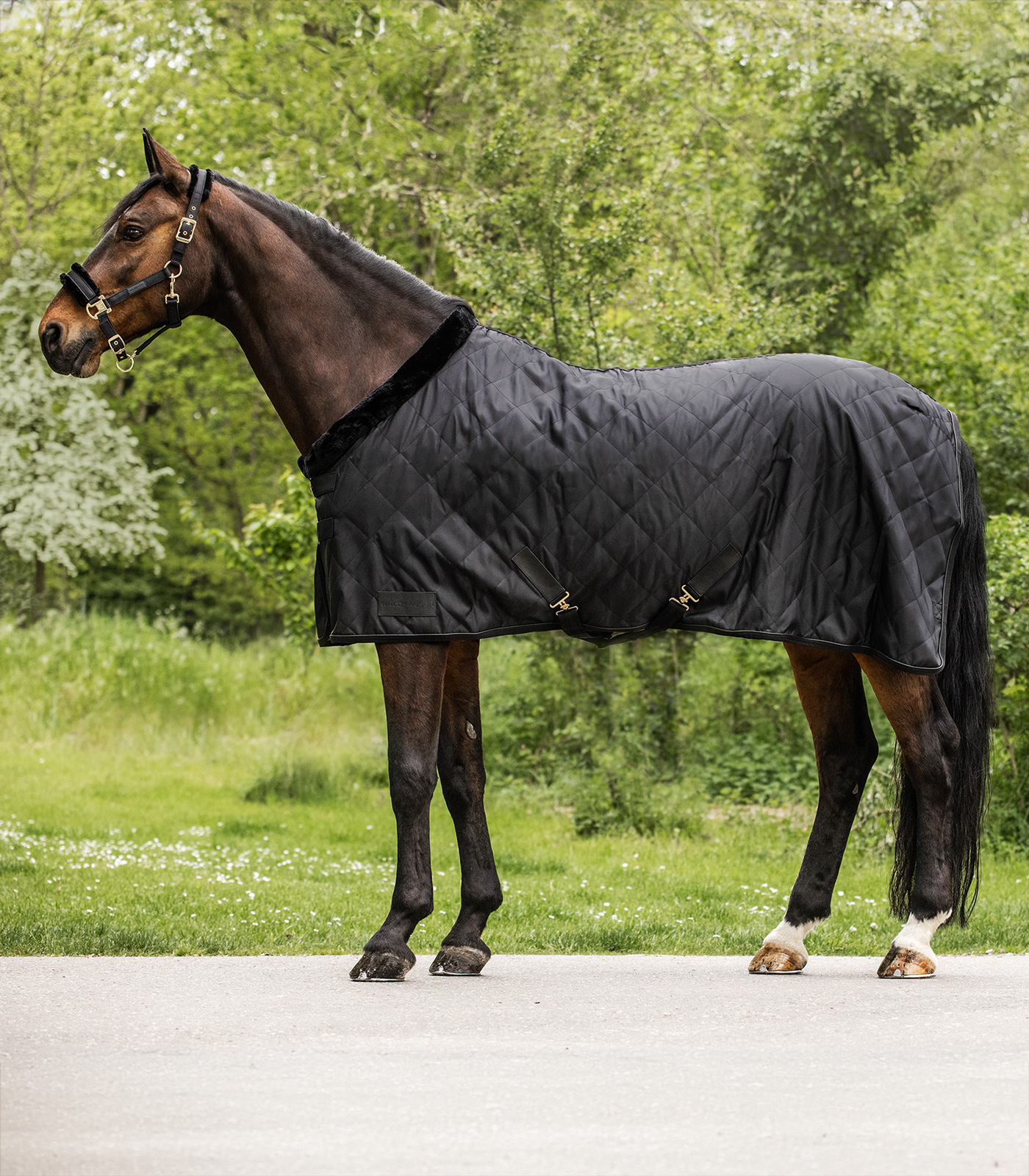 Waldhausen Transportdecke "Exclusive" 50g