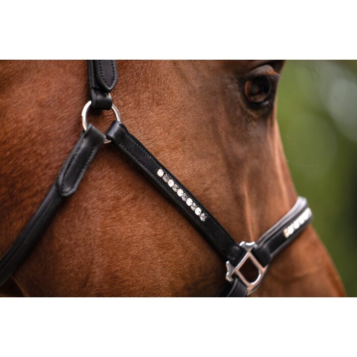 HKM Lederhalfter "Sparkle"