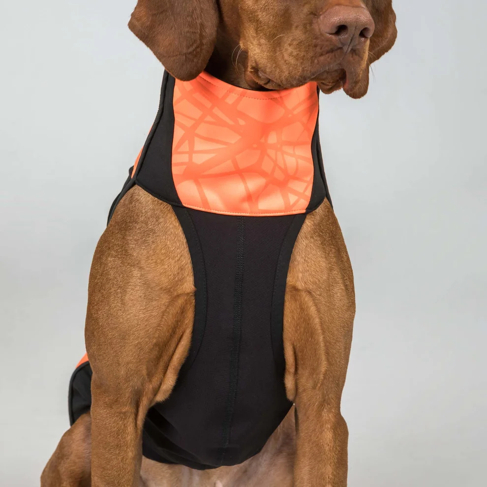 Back on Track BARK Reflektierender Hundepullover