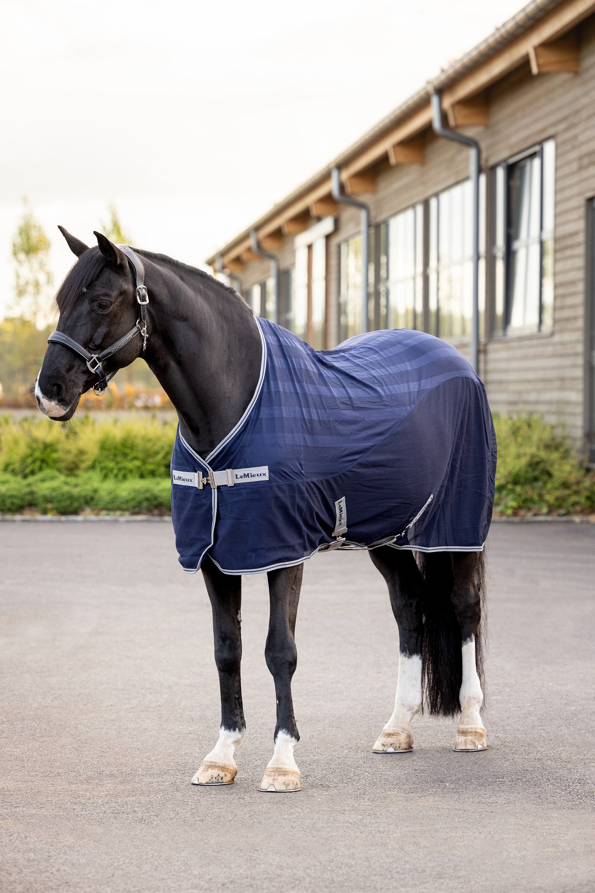 LeMieux Arika Air-Tek Sheet, Fliegendecke, Weidedecke
