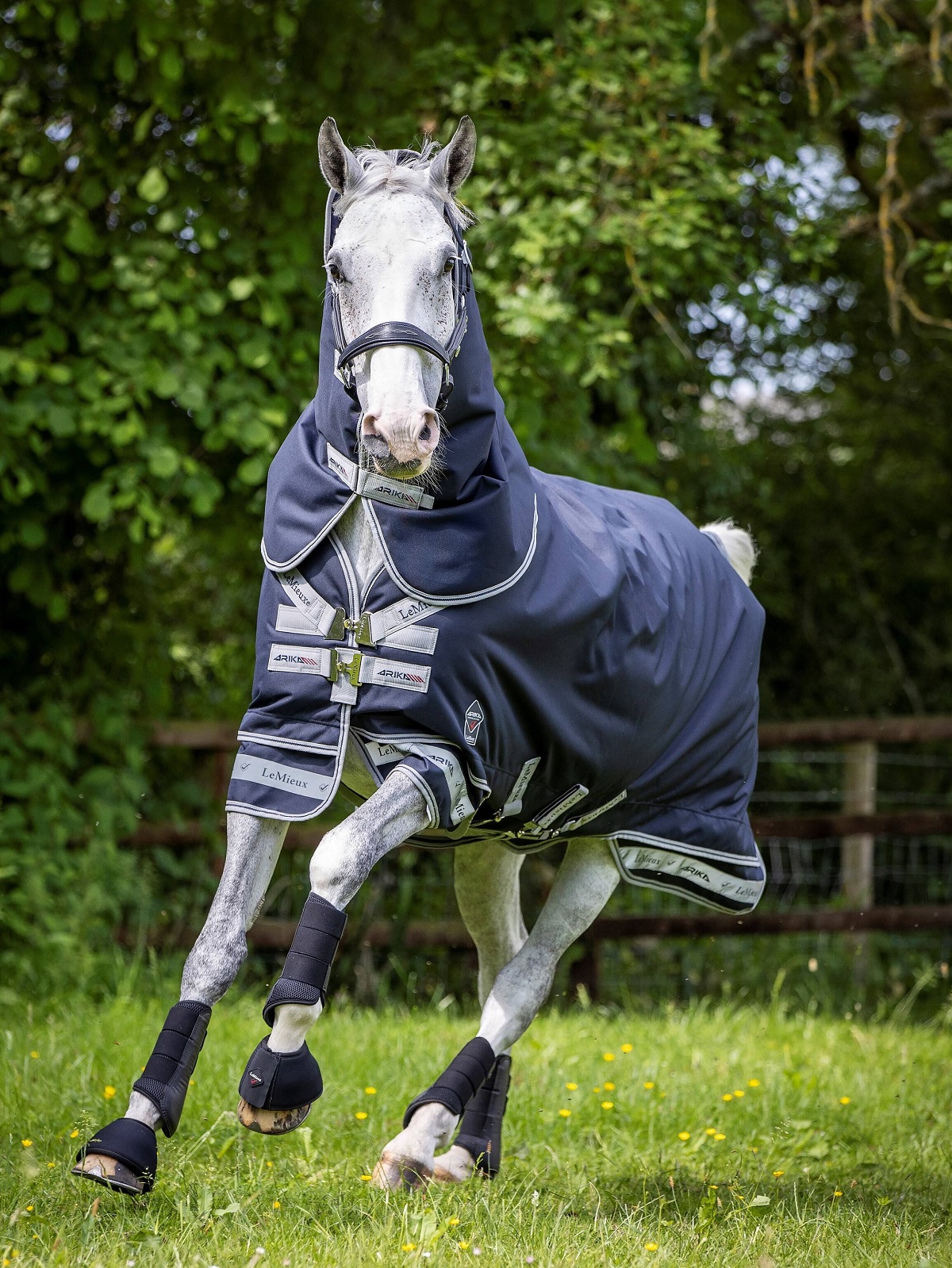 LeMieux Arika Storm-Tek Rug, Weidedecke, Pferdedecke, 200g Füllung, navy