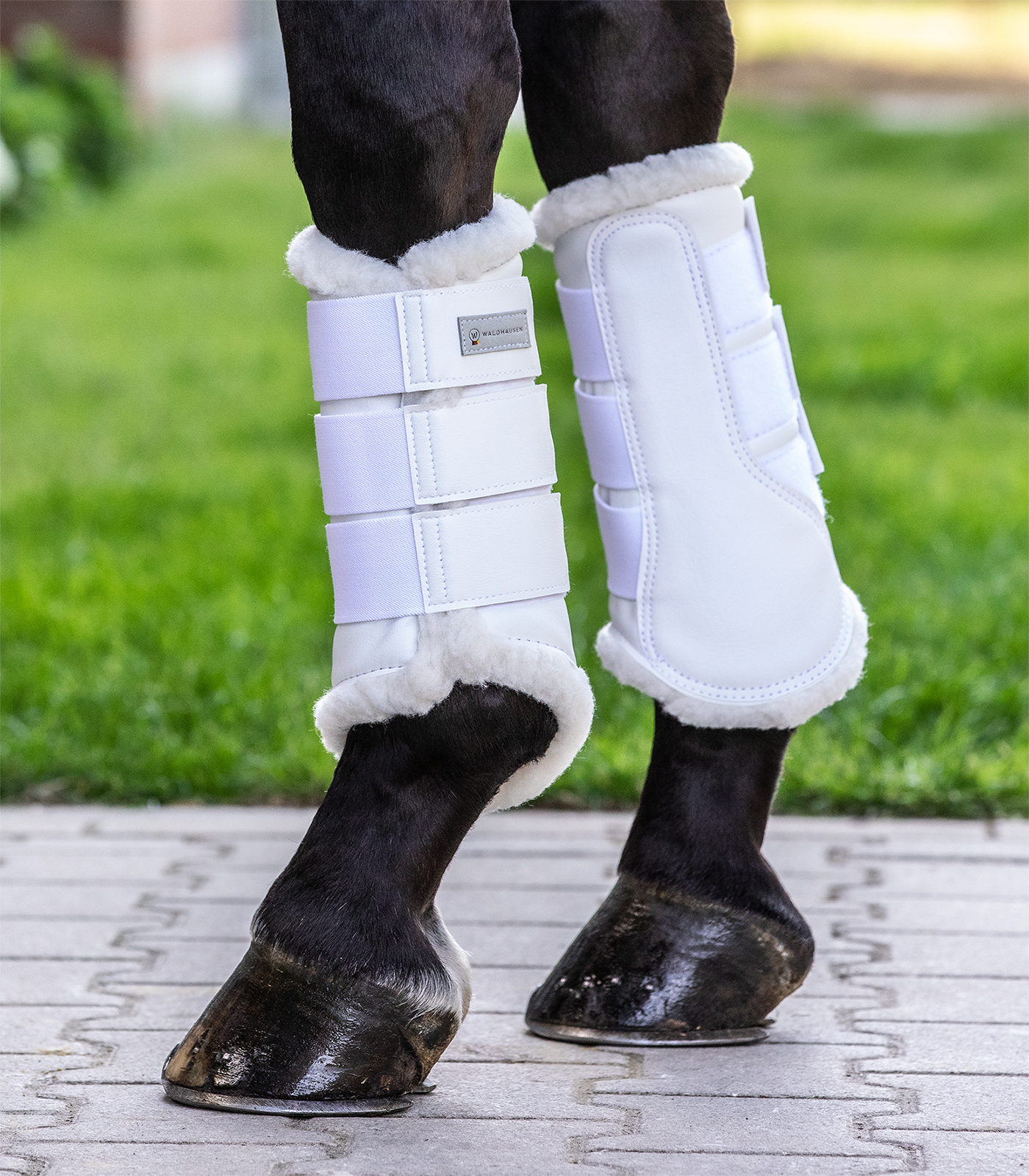 Waldhausen Dressugamasche Soft