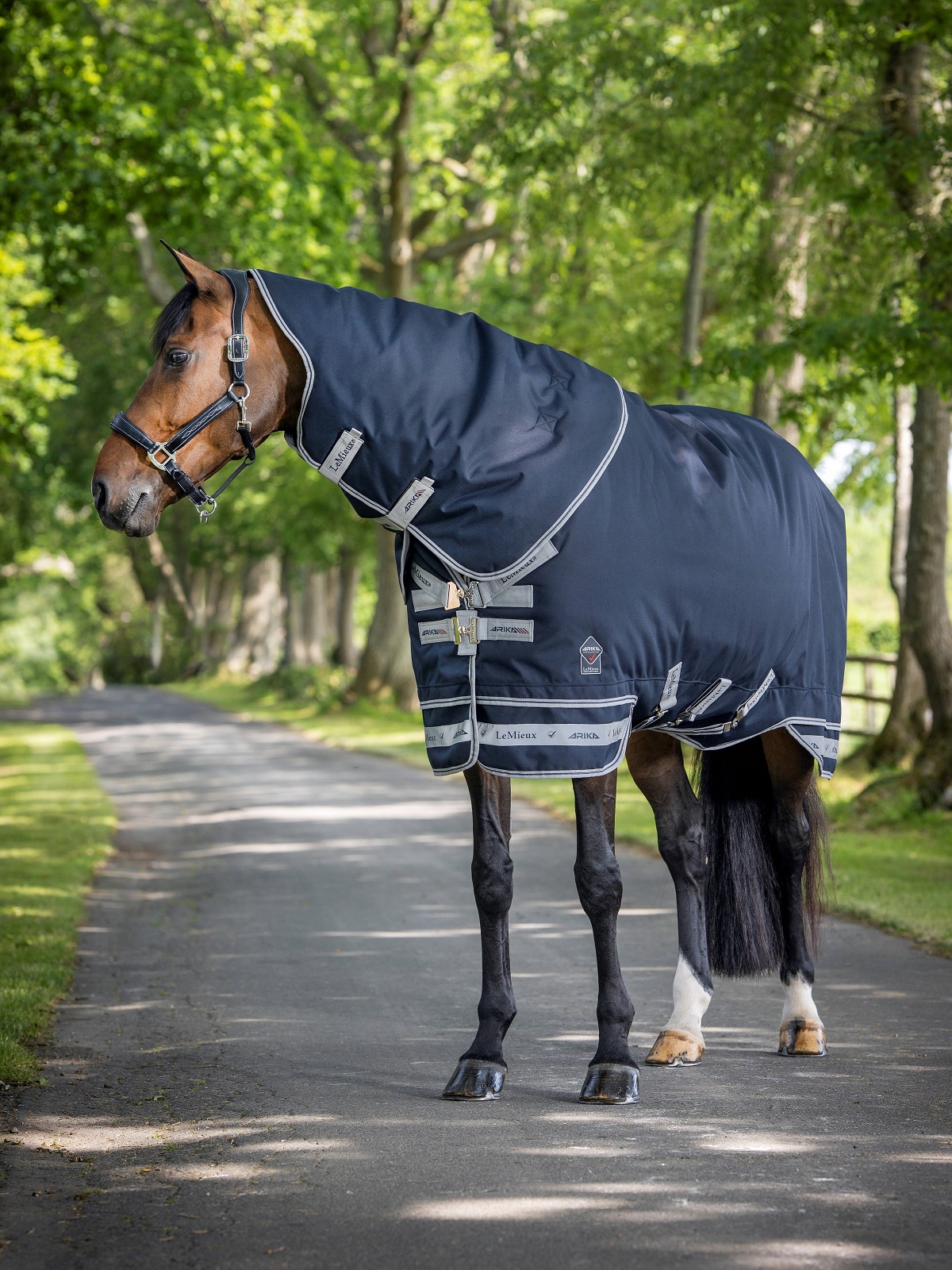 LeMieux Arika Storm-Tek Rug, Weidedecke, Pferdedecke, 350g Füllung, navy