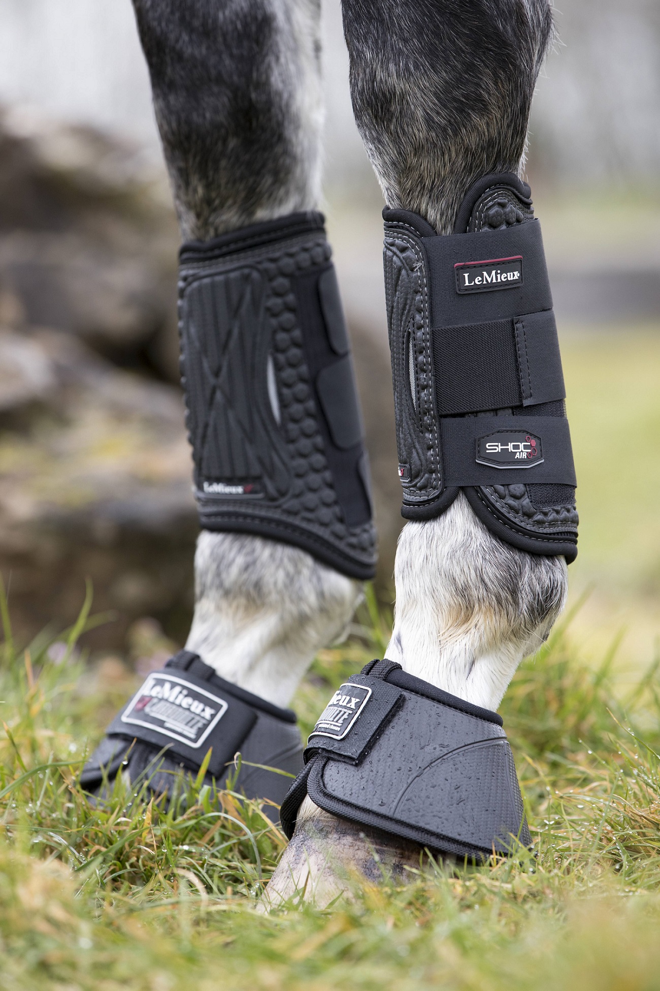 LeMieux Shoc Air XC Boots, Vorderbeine, schwarz