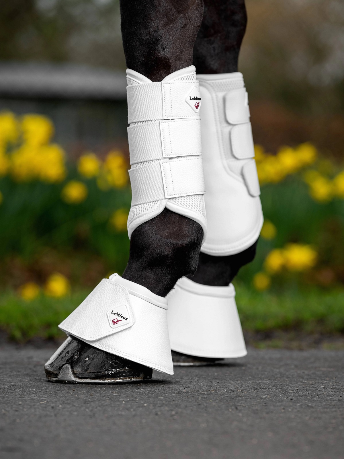LeMieux Mesh Brushing Boots, Gamaschen, Arbeitsgamaschen