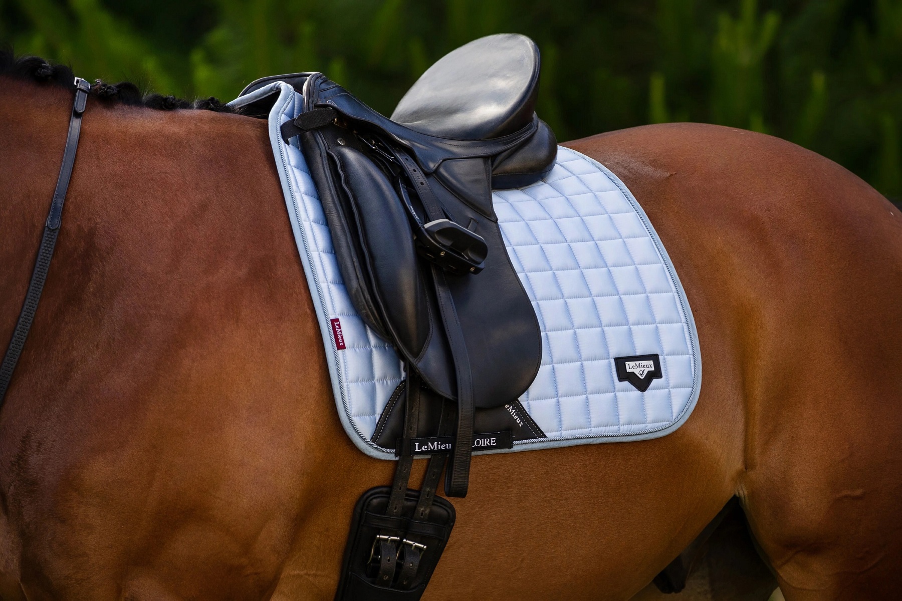 LeMieux Dressurschabracke Loire Classic, Schabracke