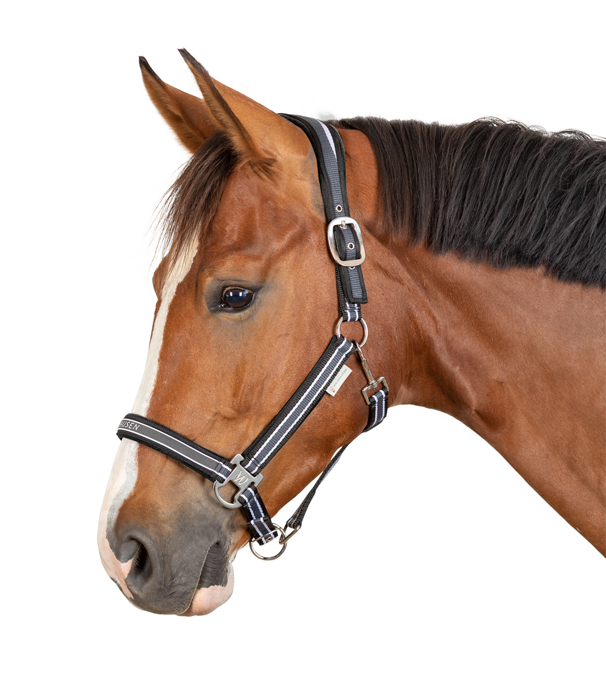 Waldhausen Halfter "Athletic",asphalt/schwarz,Pony,Sale