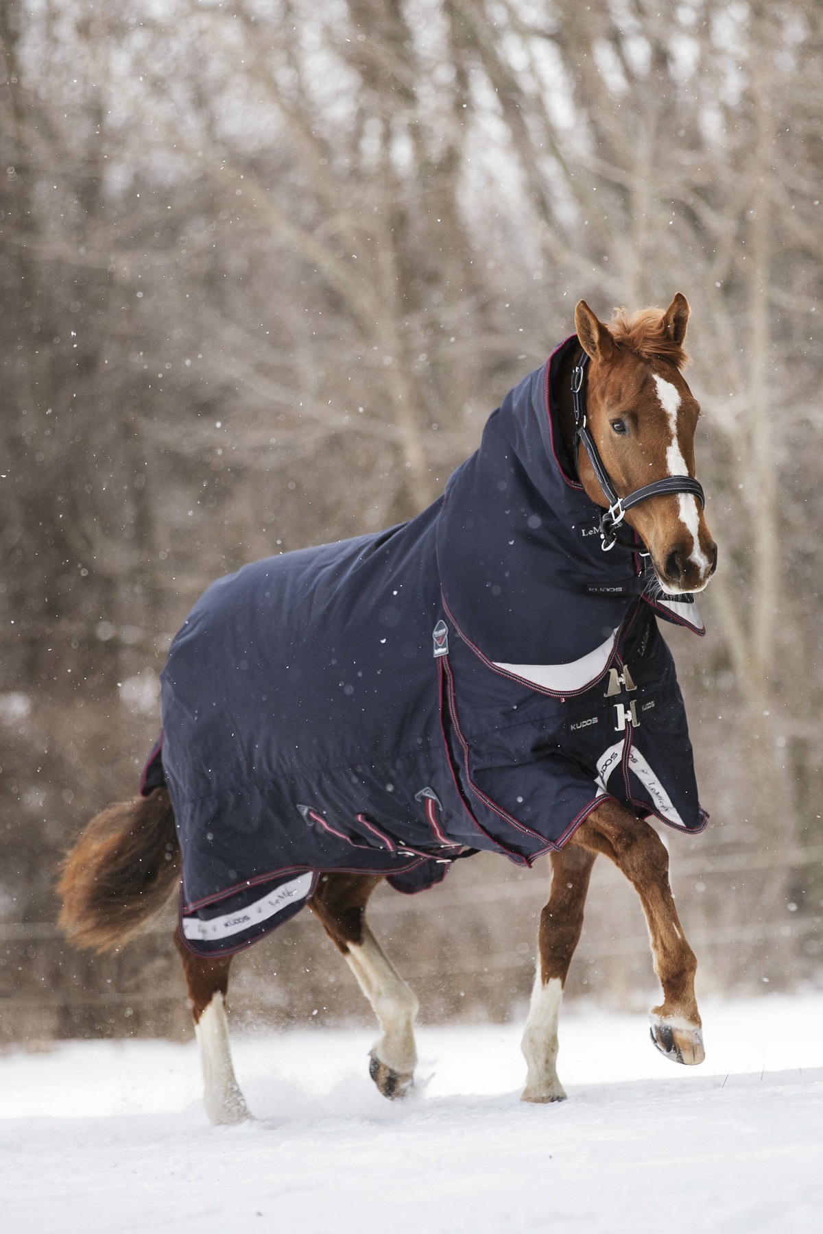 LeMieux Kudos Turnout Rug, Weidedecke, Pferdedecke, 350g Füllung, navy