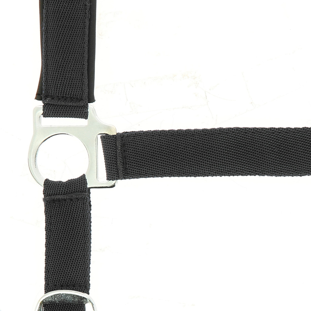 NORTON Nylon Halfter, mit Neopren unterlegt, Kaltblut