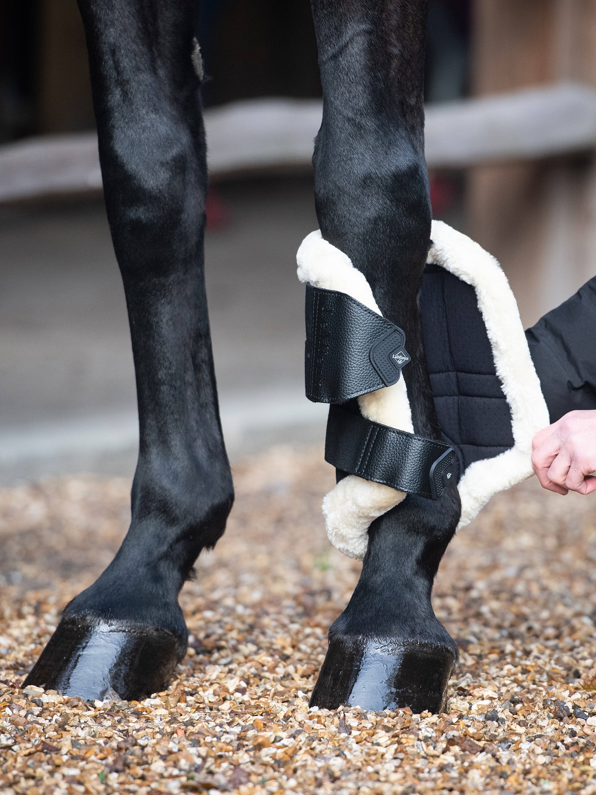 LeMieux Fleece Edged Mesh Brushing Boots, Gamaschen, Arbeitsgamaschen