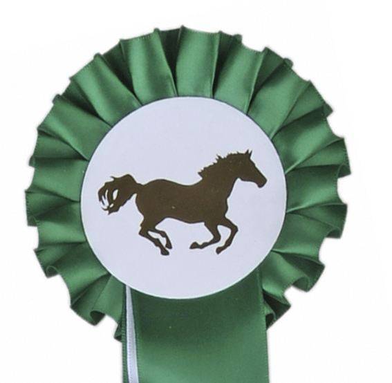Turnierschleife "Einfachrosette"