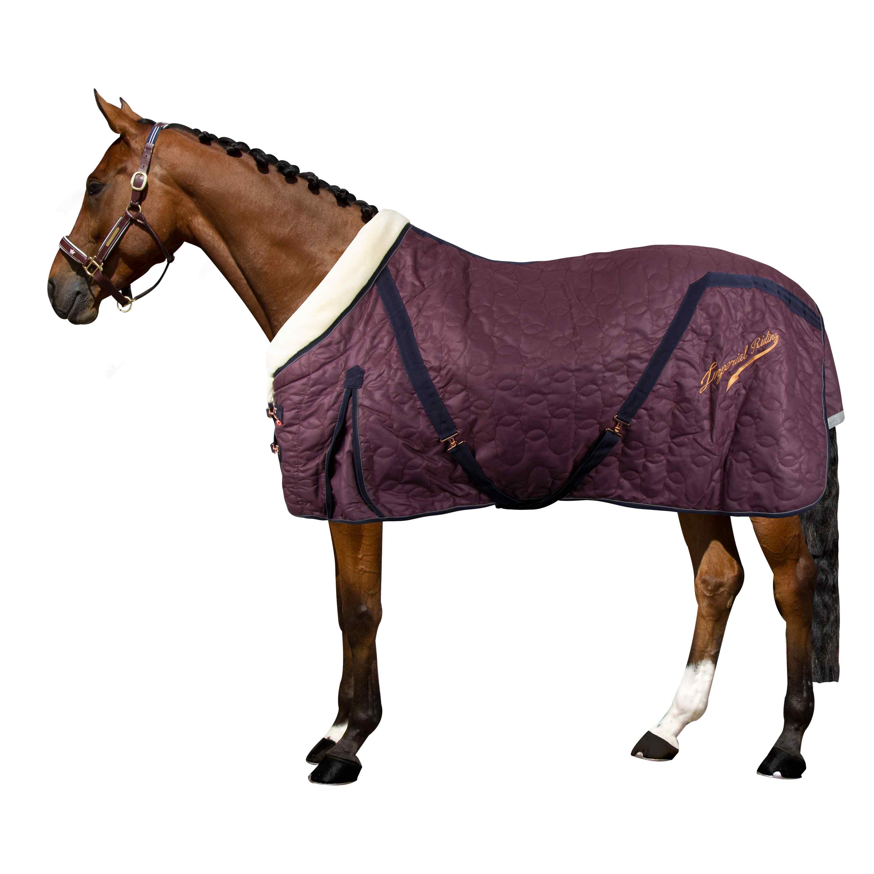 Imperial Riding Stalldecke IHRSuper-dry, 100g Füllung