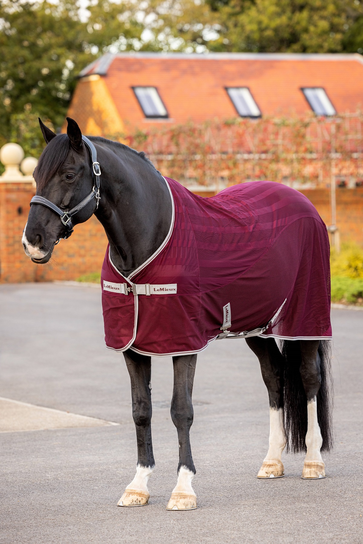 LeMieux Arika Air-Tek Sheet, Fliegendecke, Weidedecke