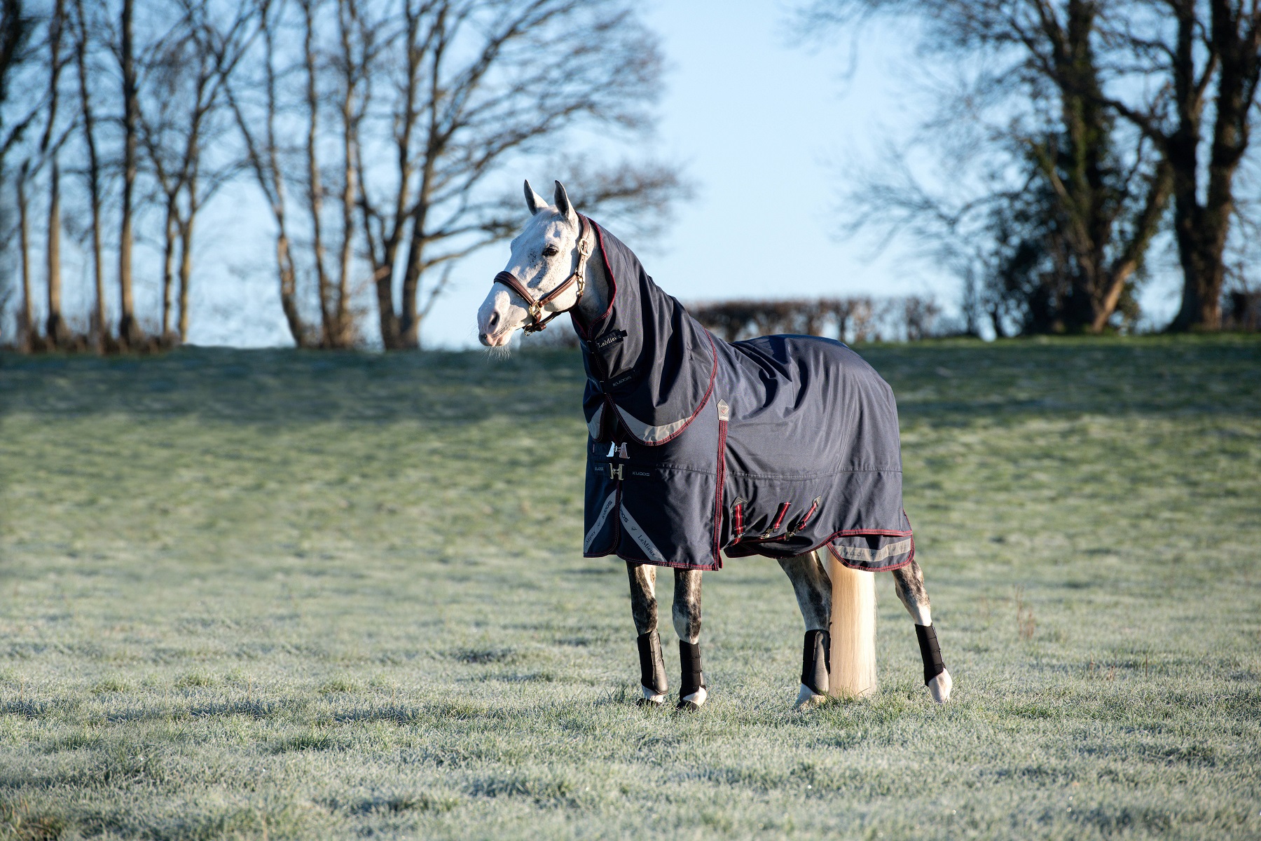 LeMieux Kudos Turnout Rug, Weidedecke, Pferdedecke, 100g Füllung, Navy