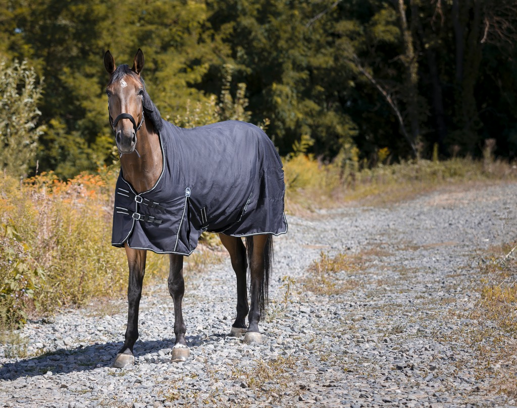 RIDING WORLD "Oxford", wasserdichte Decke, 220g Füllung, schwarz
