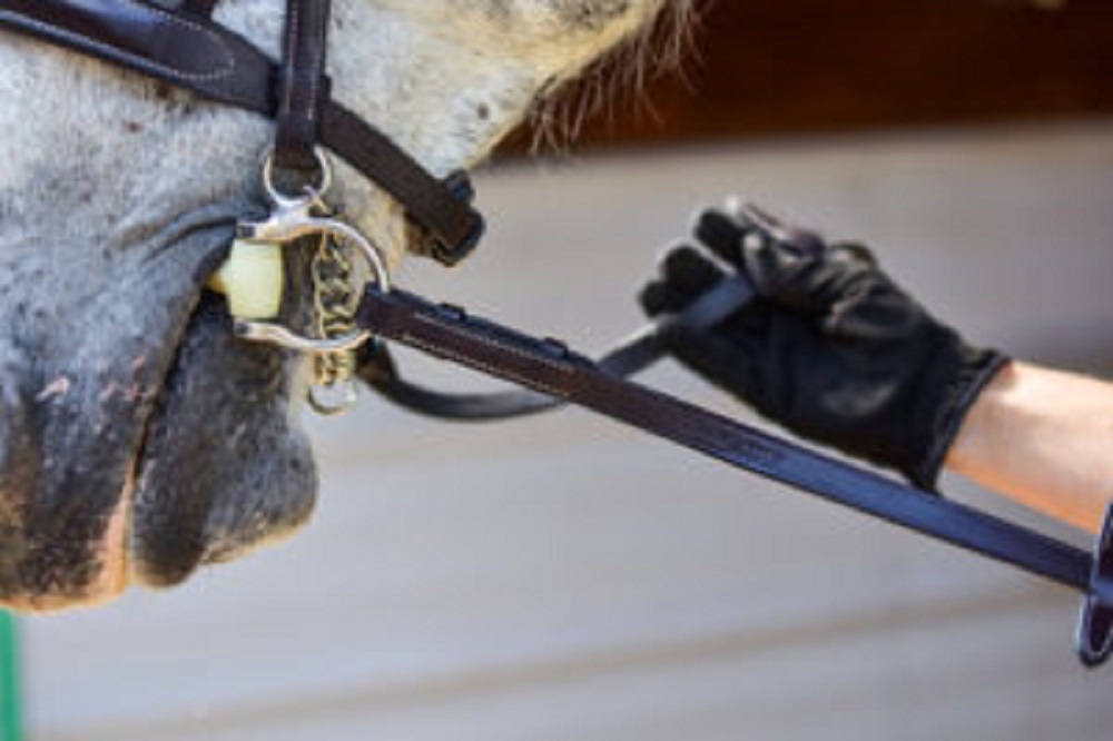 ThinLine Full Wrapped English Reins, Zügel, englische Zügel