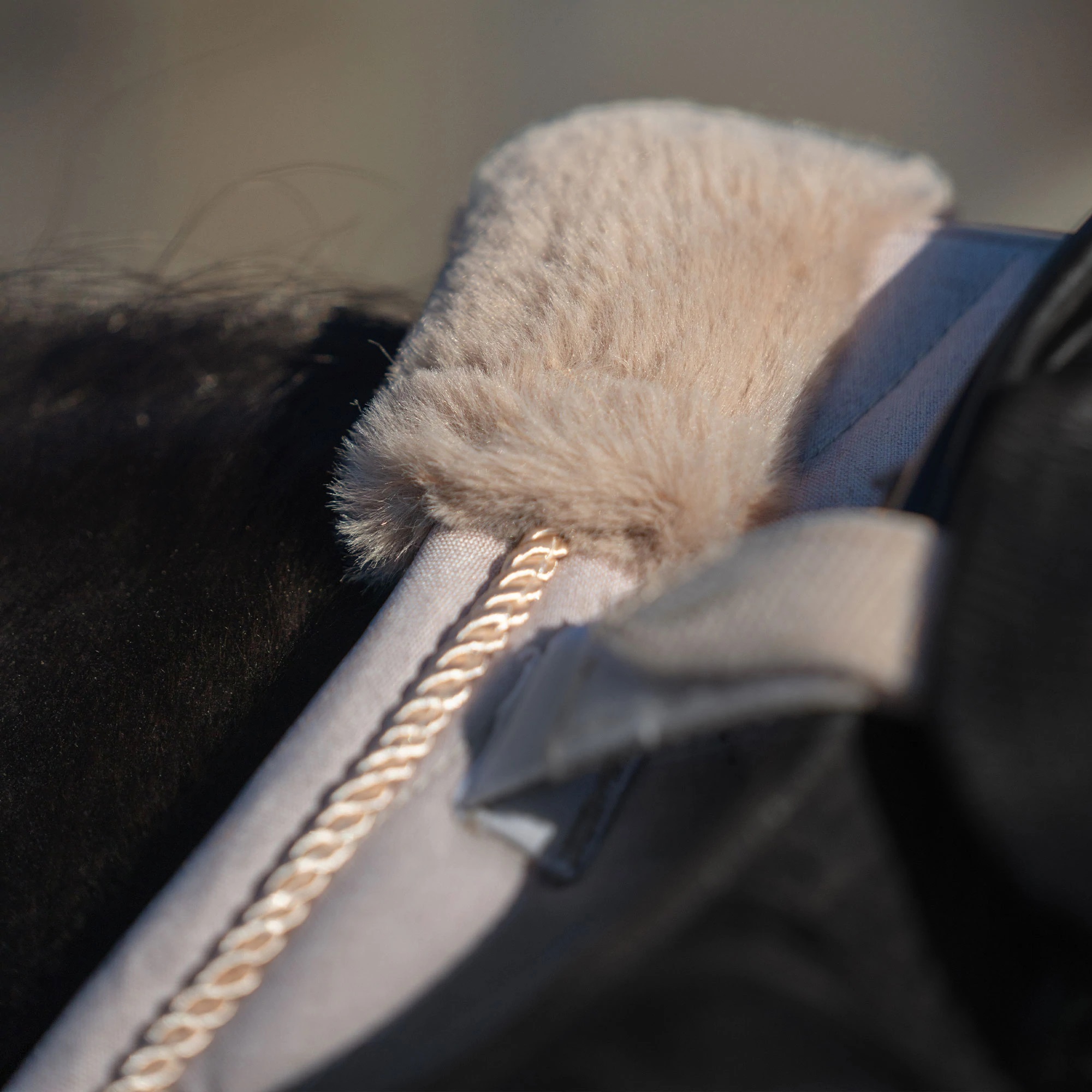 Back on Track Haze Collection Schabracke, Springen, light beige