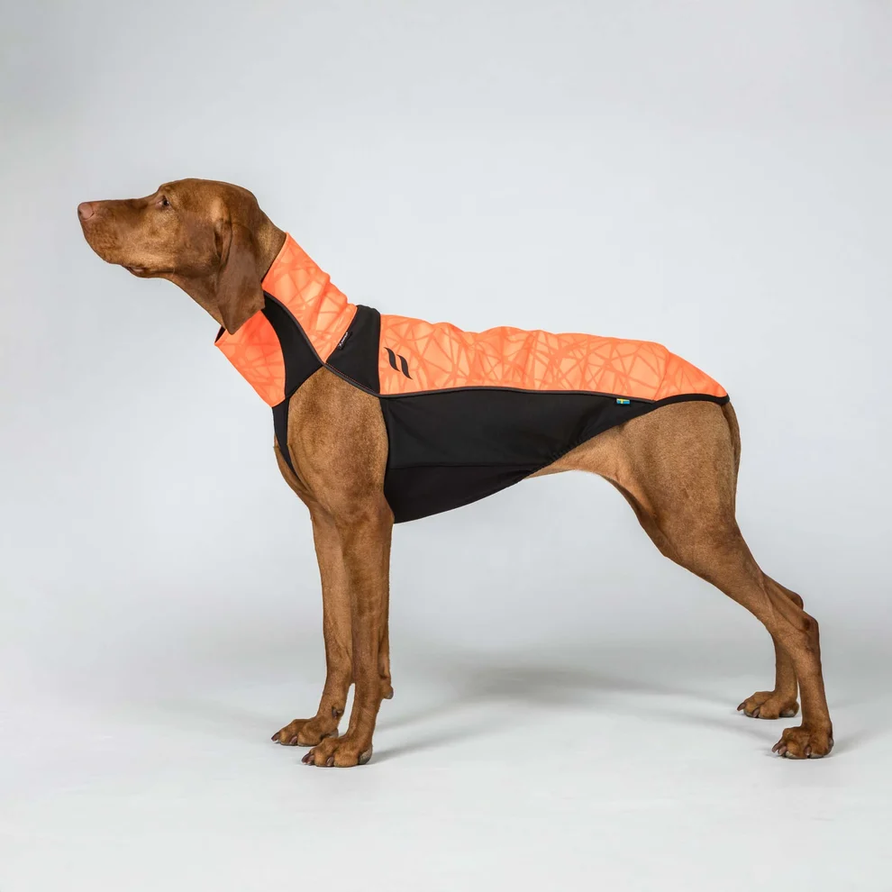 Back on Track BARK Reflektierender Hundepullover