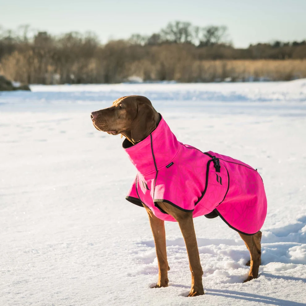 Back on Track Hundemantel Bark,Softshell-Hundemantel, Hoher Rutenansatz