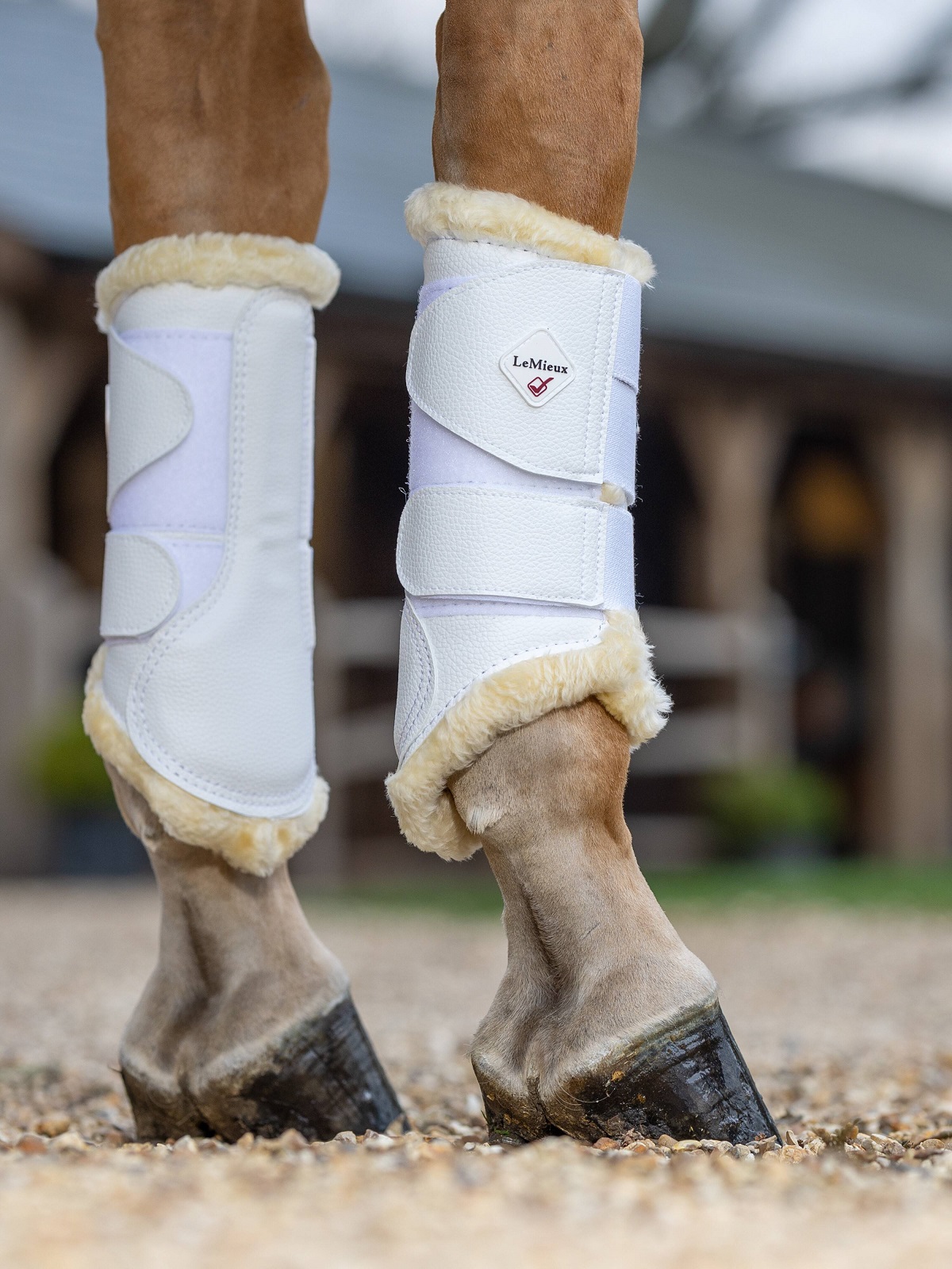 LeMieux Fleece Lined Brushing Boots, Gamaschen