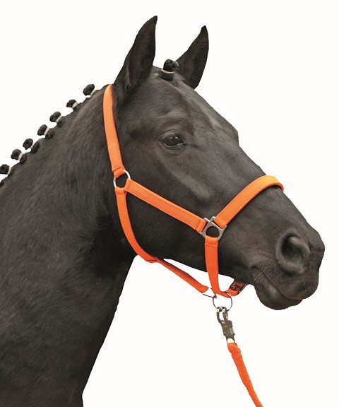HKM Halfter "Stars Softice"