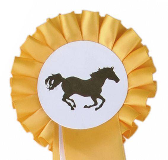 Turnierschleife "Einfachrosette"