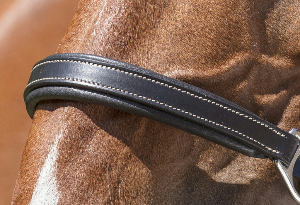 NORTON PRO "Grooming" Lederhalfter
