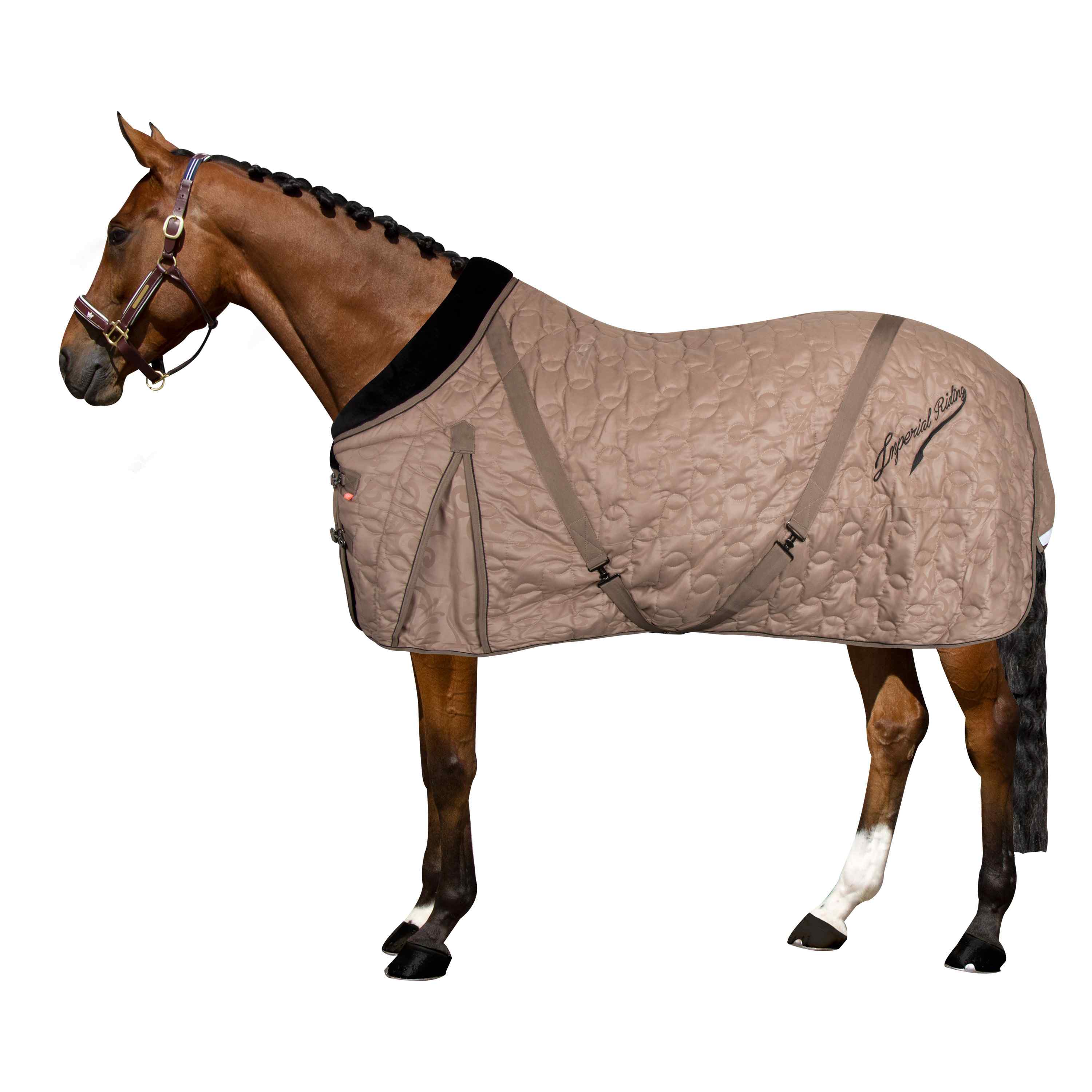 Imperial Riding Stalldecke IHRSuper-dry, 100g Füllung