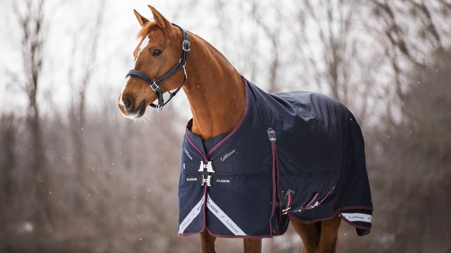 LeMieux Kudos Turnout Rug, Weidedecke, Pferdedecke, 350g Füllung, navy