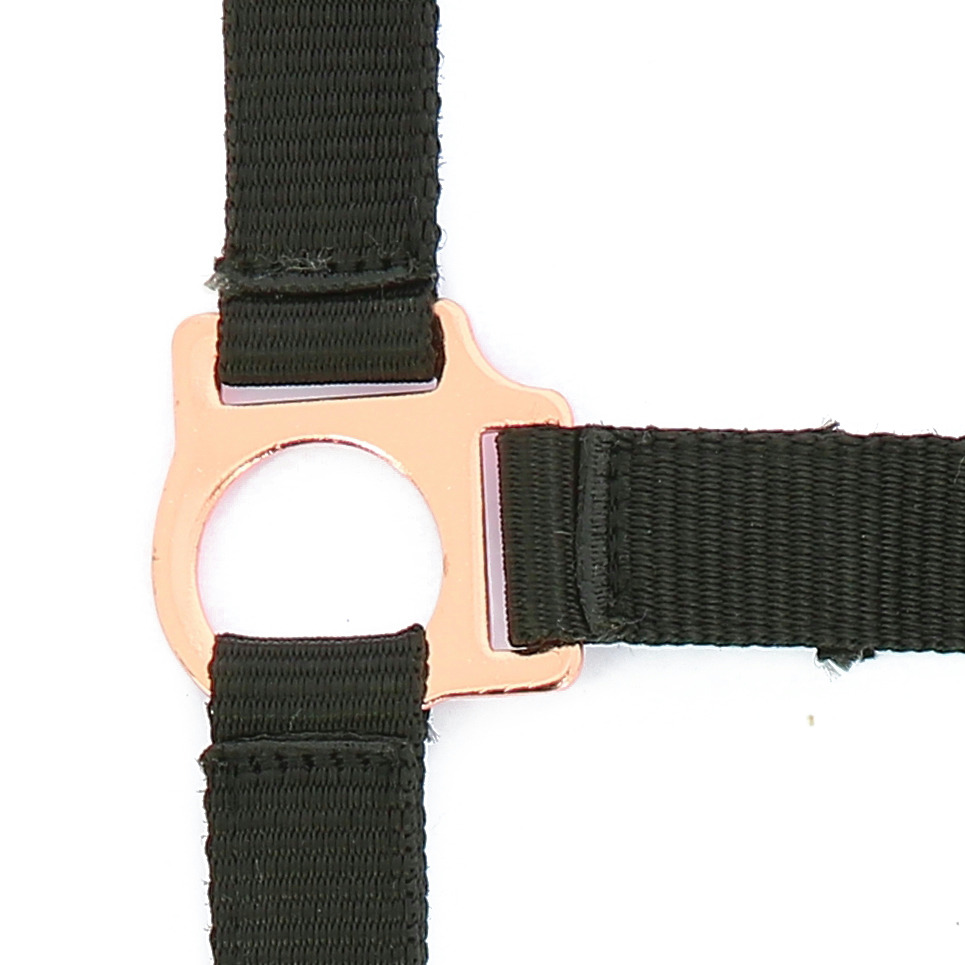 NORTON "Roségold" Halfter und Führstrick, 2er-Set