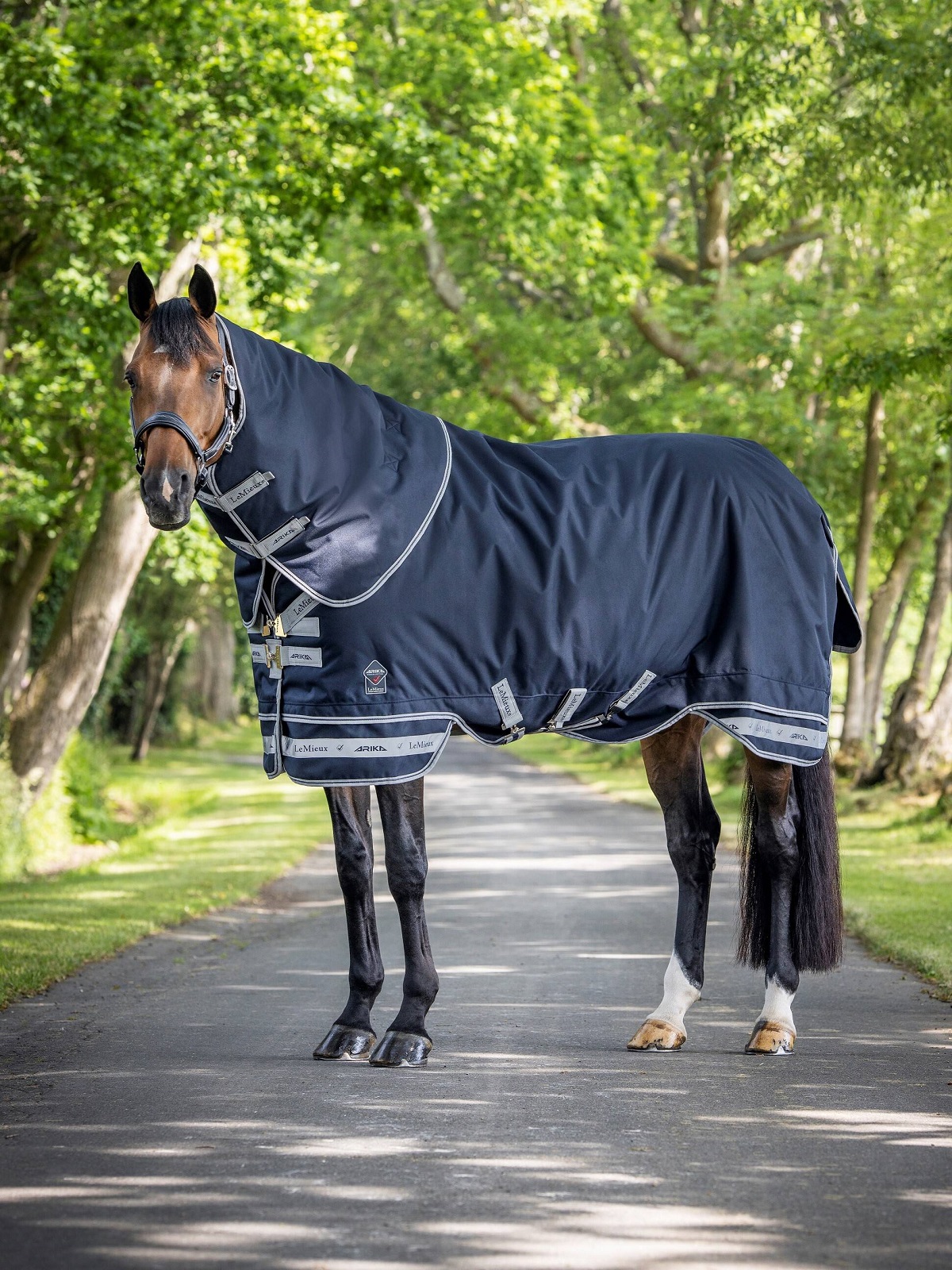 LeMieux Arika Storm-Tek Rug, Weidedecke, Pferdedecke, 100g Füllung, navy